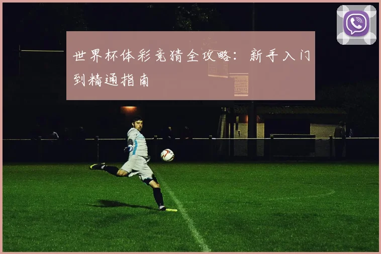 世界杯体彩竞猜全攻略：新手入门到精通指南